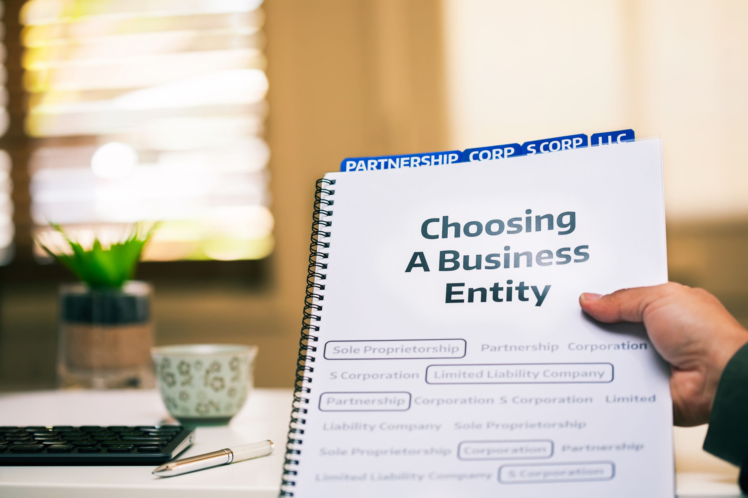 A person holds up a booklet titled 'Choosing A Business Entity' with key terms listed below.