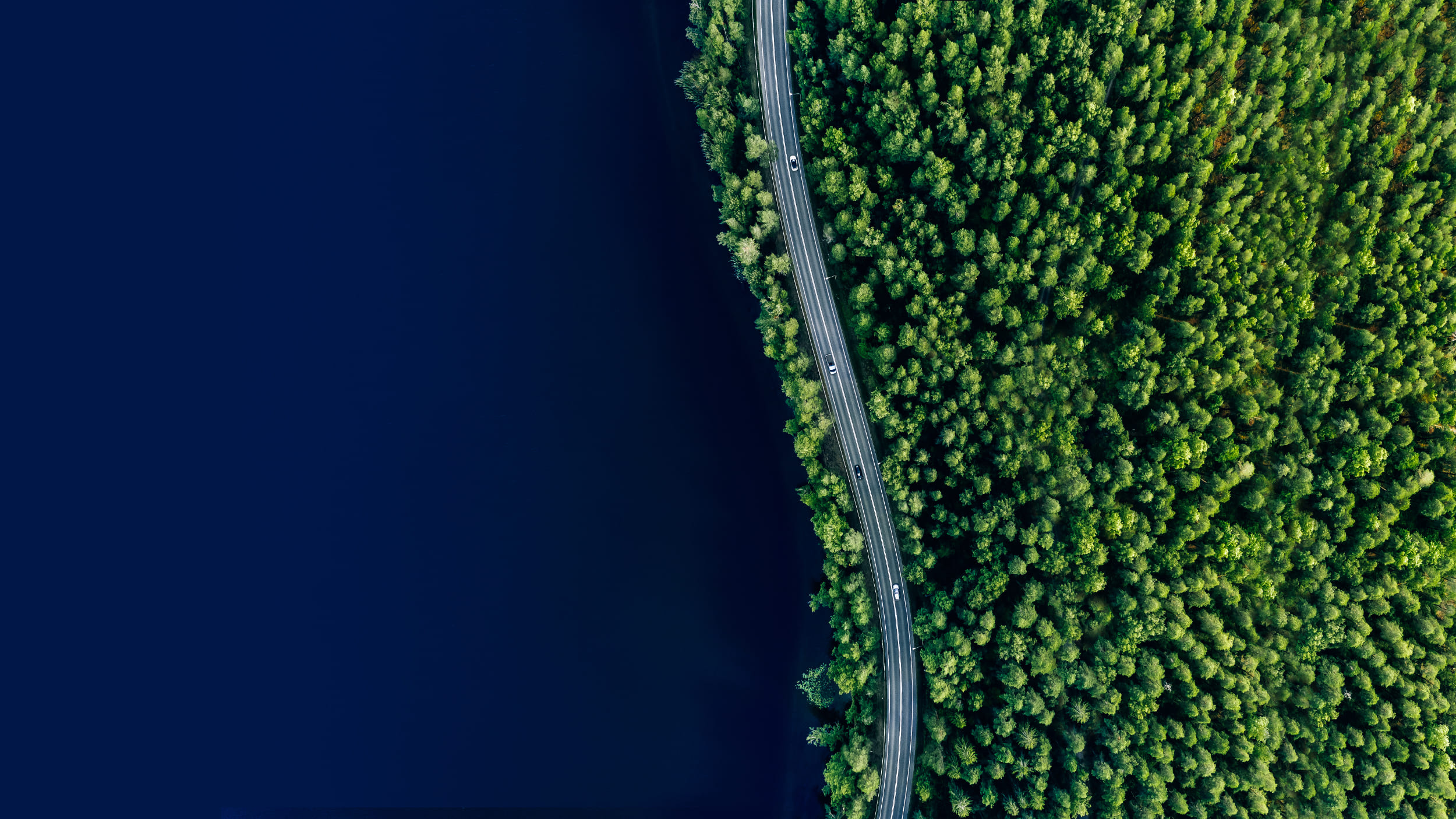 View from above at a road between a body of water and a green forest.