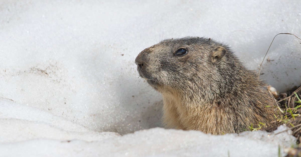 How tax departments can break their ‘Groundhog Day’ cycles How tax departments can break their ‘Groundhog Day’ cycles