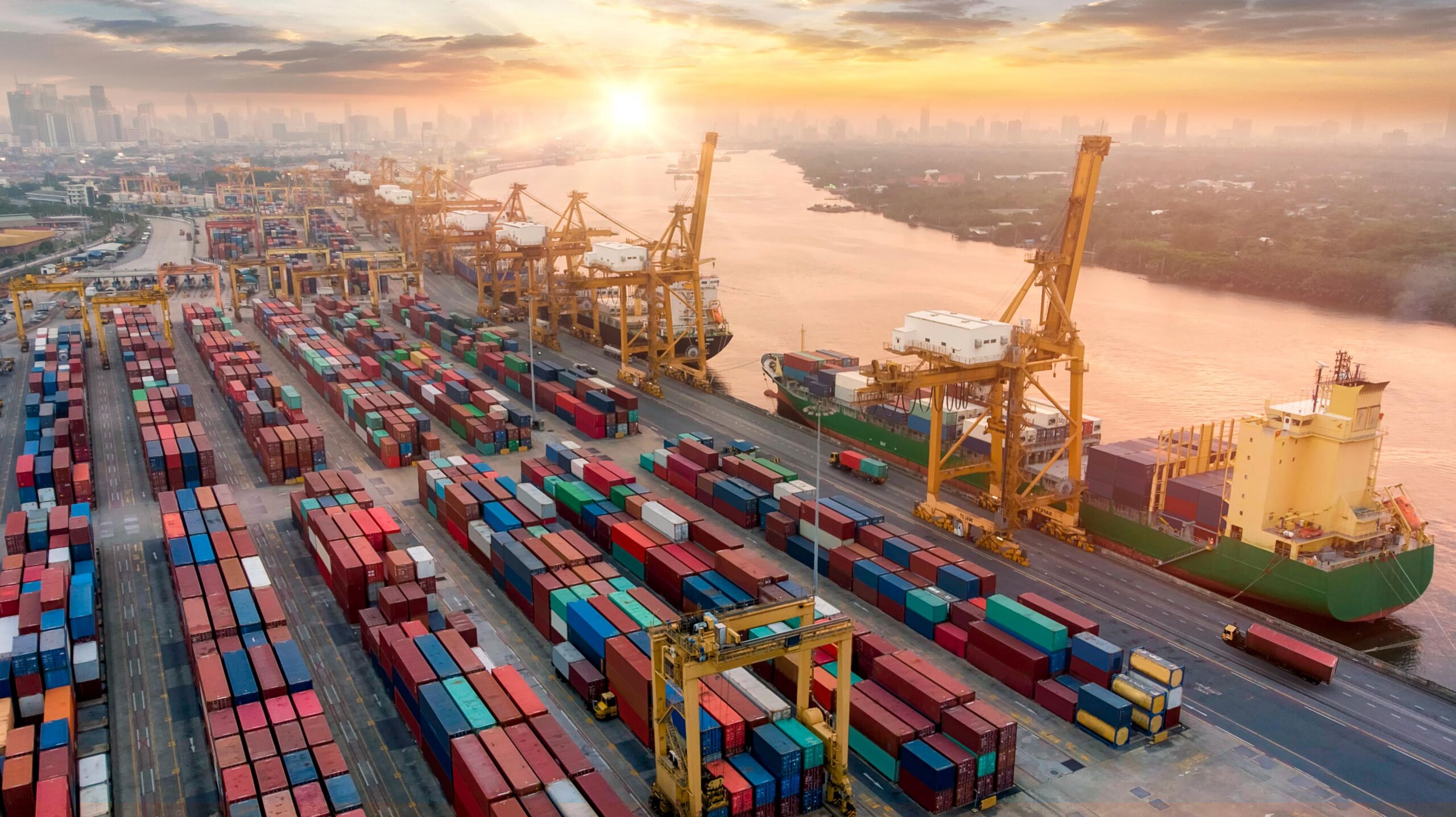 What is the Automated Commercial Environment (ACE)?