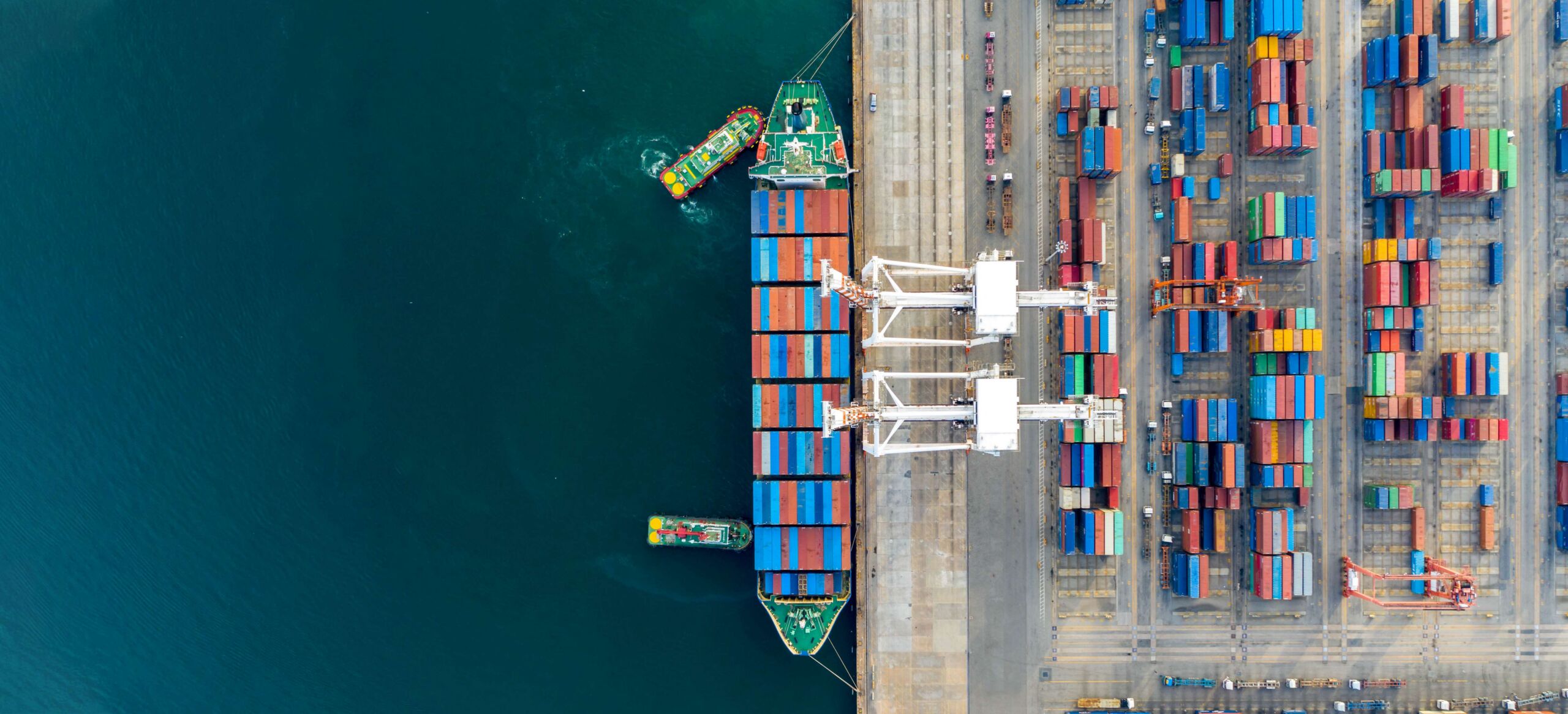 AI and reasonable care in trade compliance