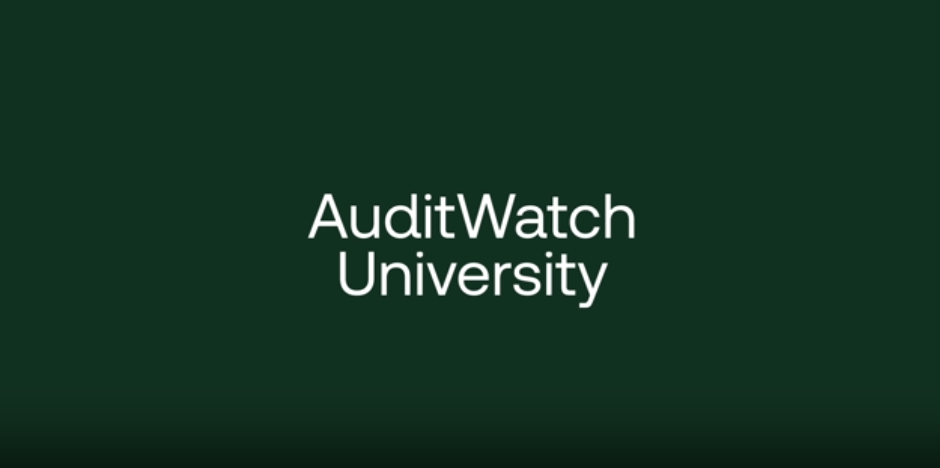 Training for auditors at all levels