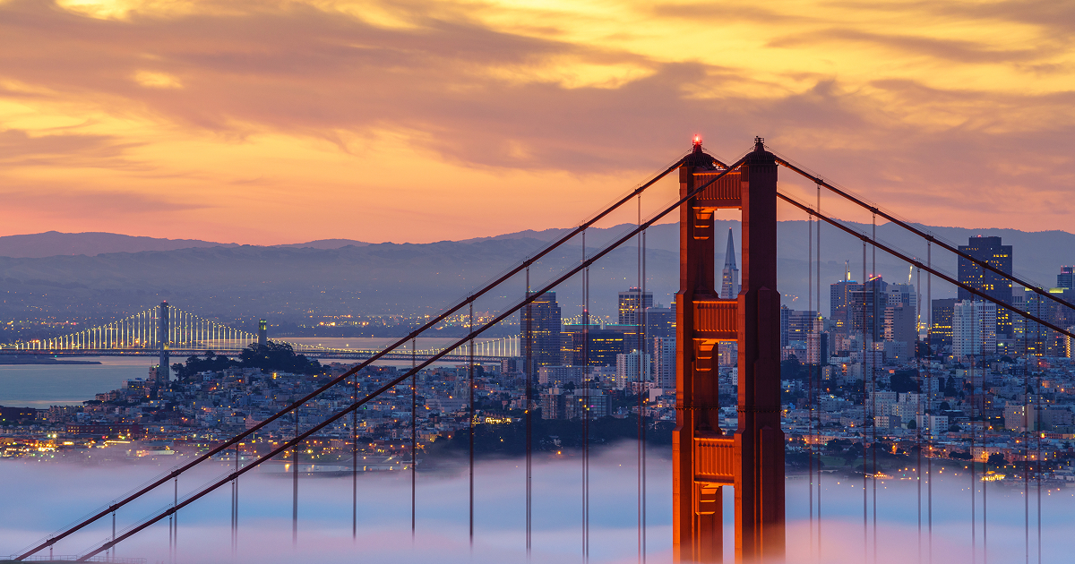 Automate and streamline your global trade management process