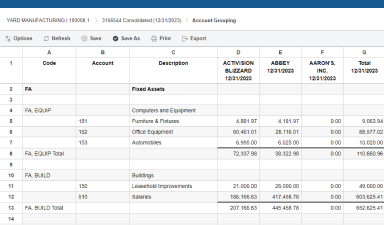 AdvanceFlow screenshot | Custome reports